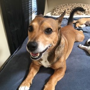 Meet your Posher, Tionne